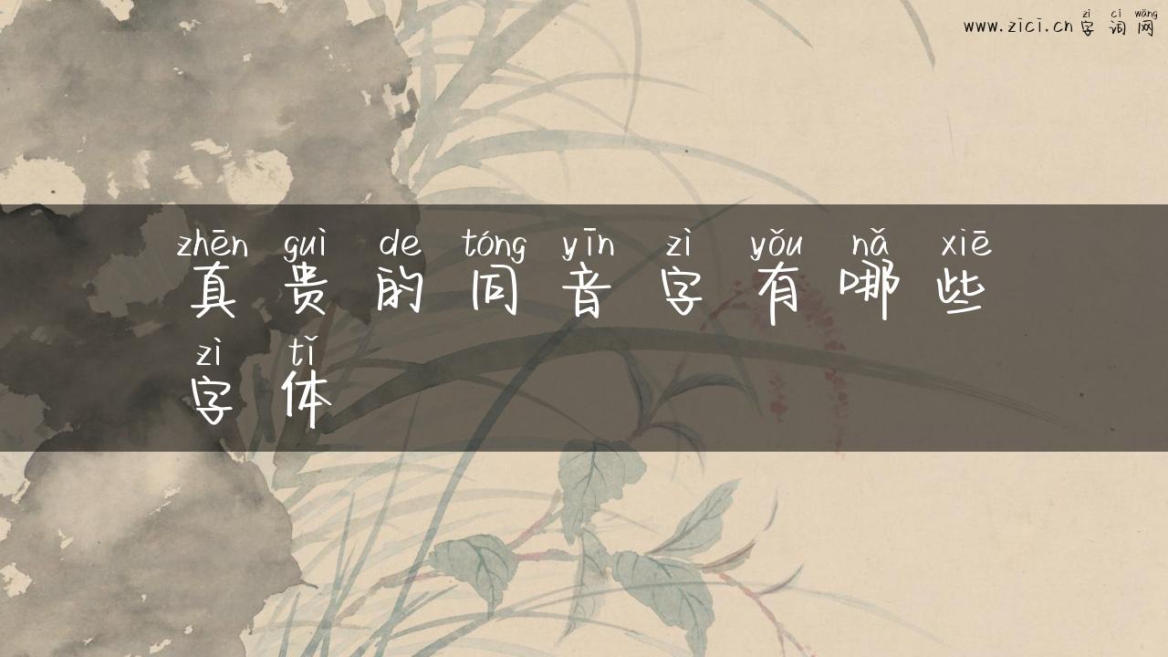 真贵的同音字有哪些字体