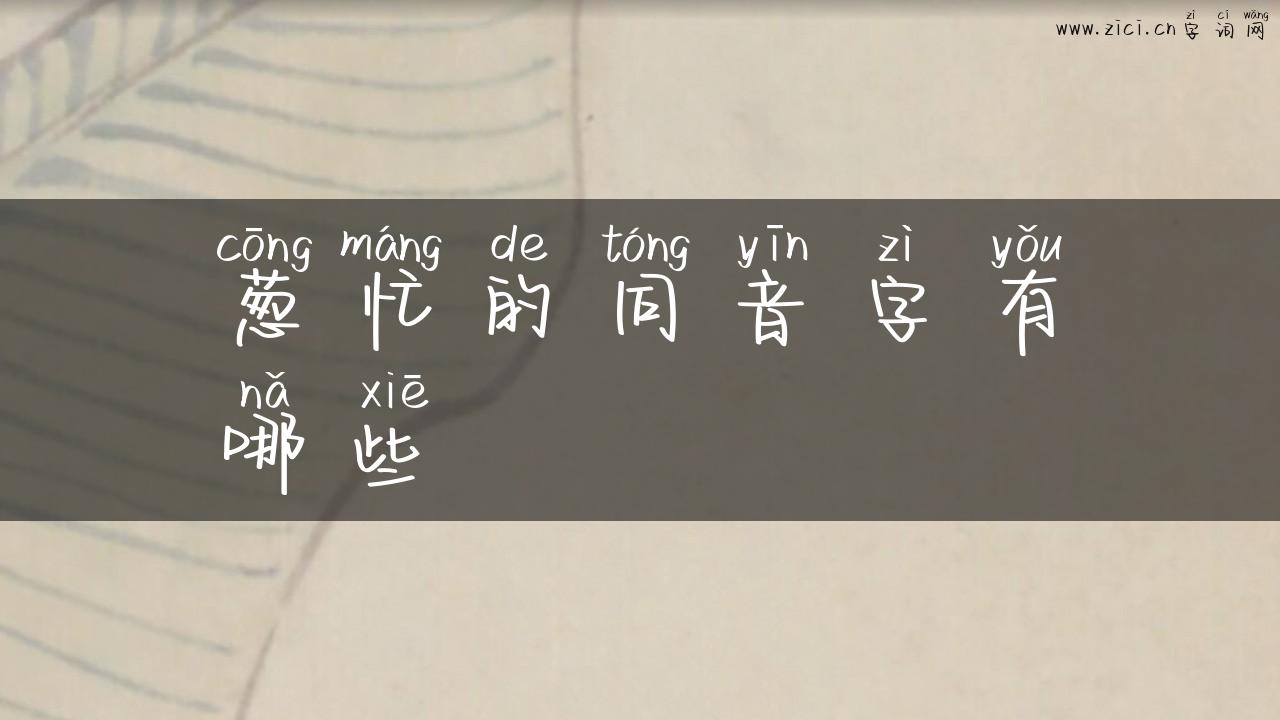 葱忙的同音字有哪些