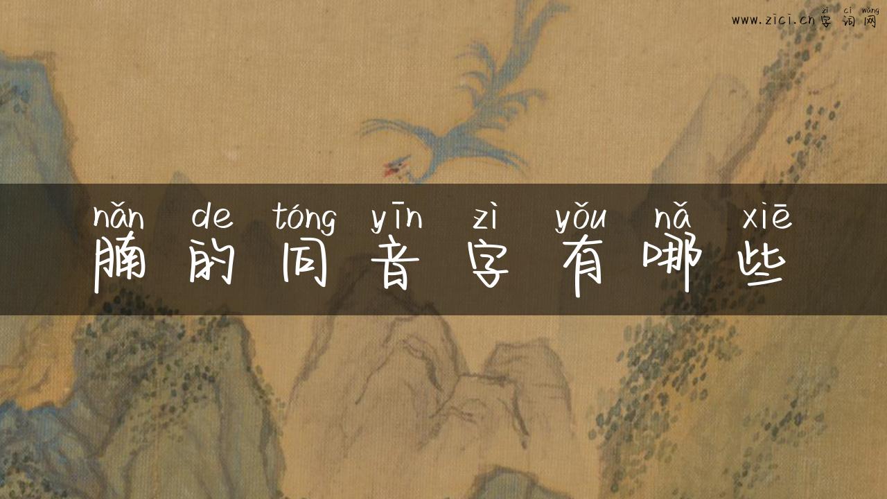 腩的同音字有哪些
