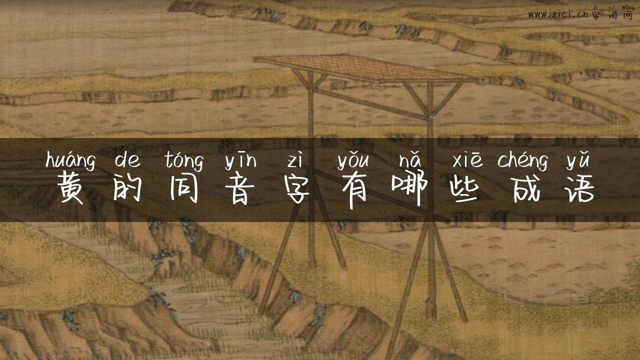 黄的同音字有哪些成语
