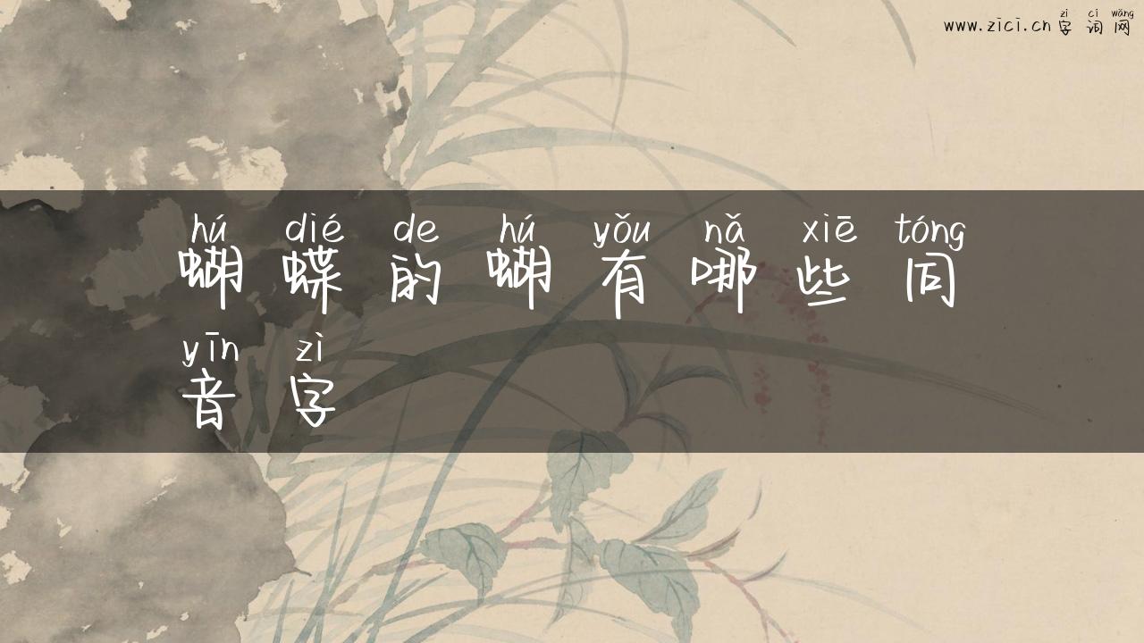 蝴蝶的蝴有哪些同音字