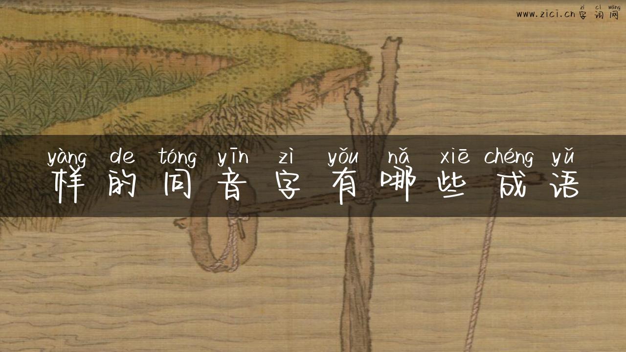 样的同音字有哪些成语