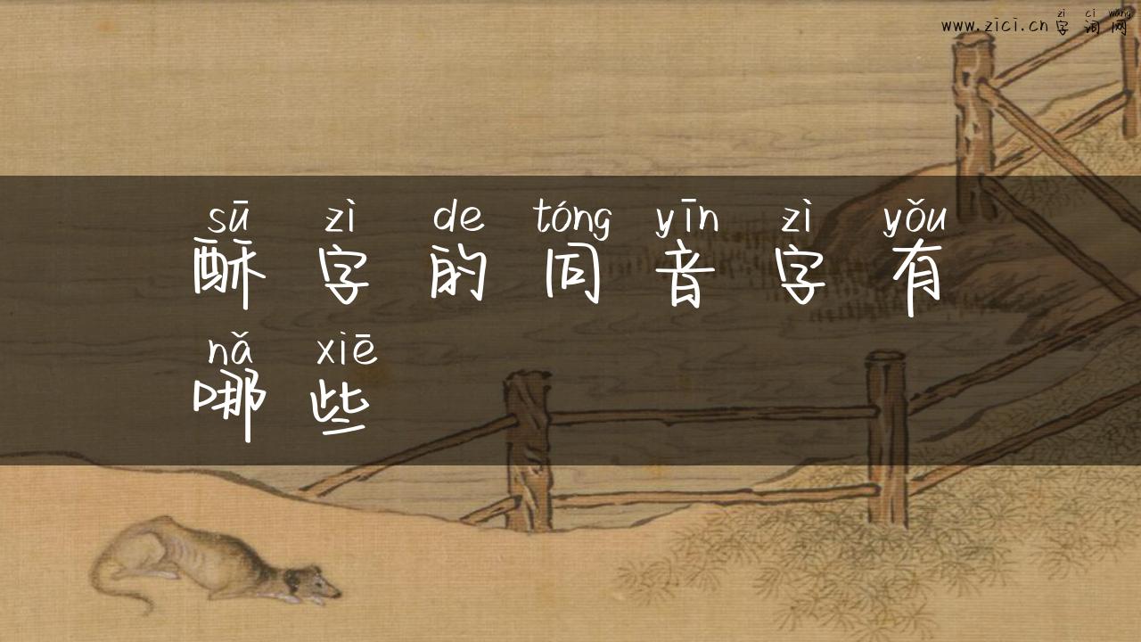 酥字的同音字有哪些
