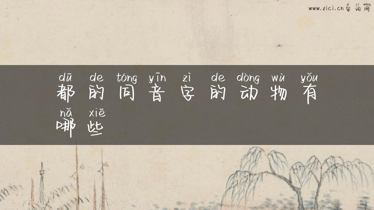 都的同音字的动物有哪些