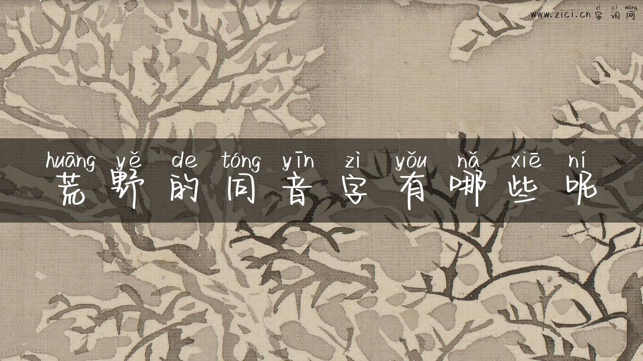 荒野的同音字有哪些呢