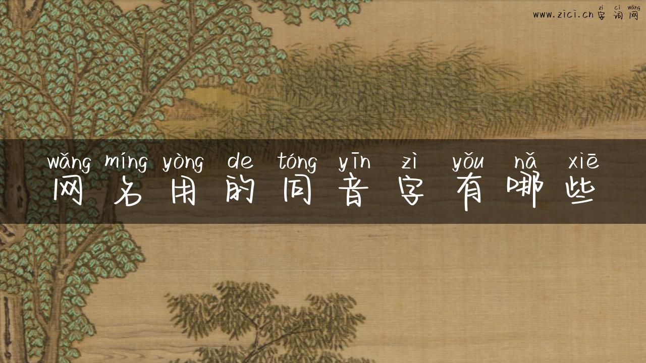 网名用的同音字有哪些
