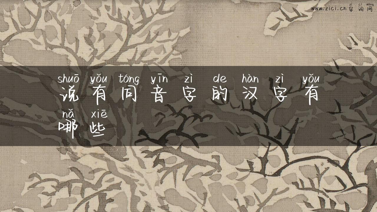 说有同音字的汉字有哪些