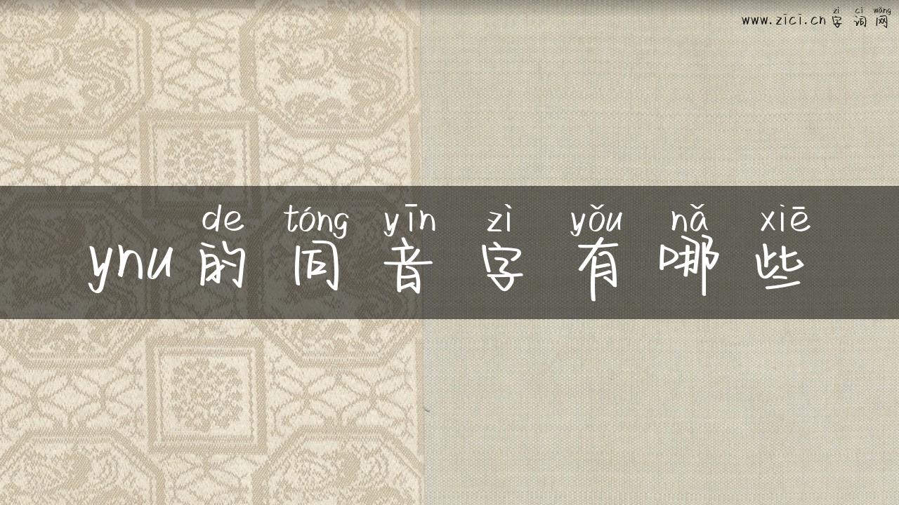 ynu的同音字有哪些
