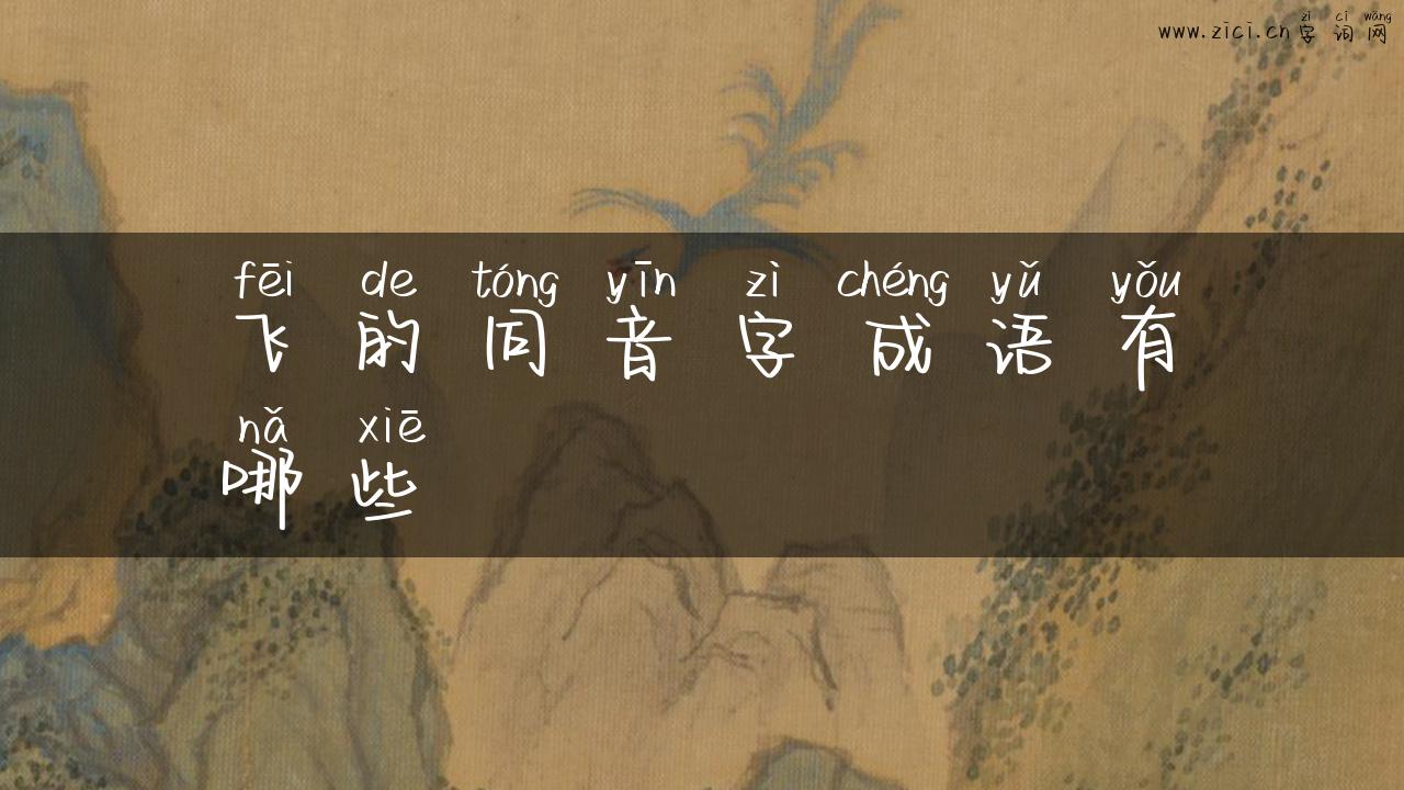 飞的同音字成语有哪些
