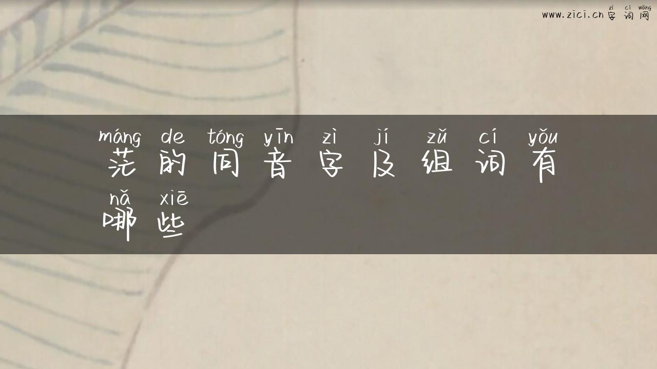 茫的同音字及组词有哪些