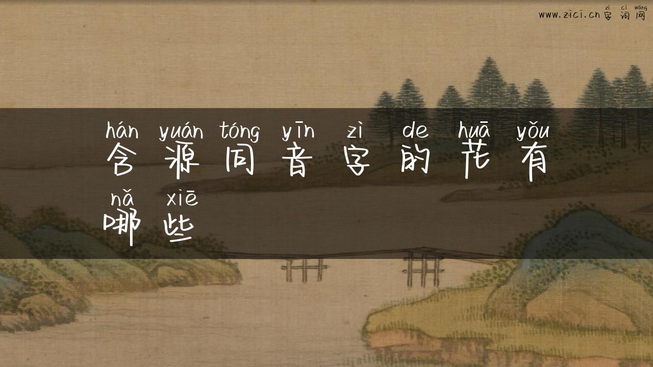 含源同音字的花有哪些