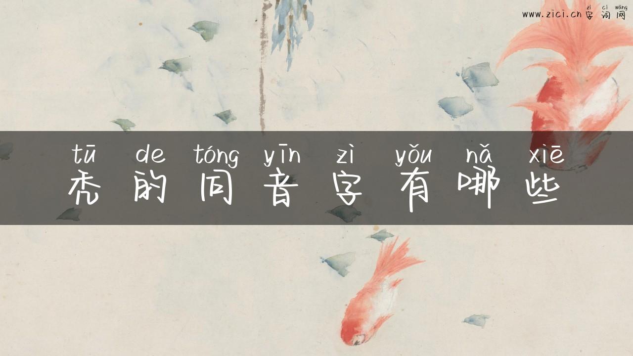 秃的同音字有哪些