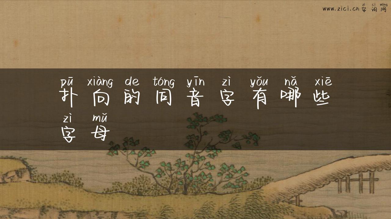 扑向的同音字有哪些字母
