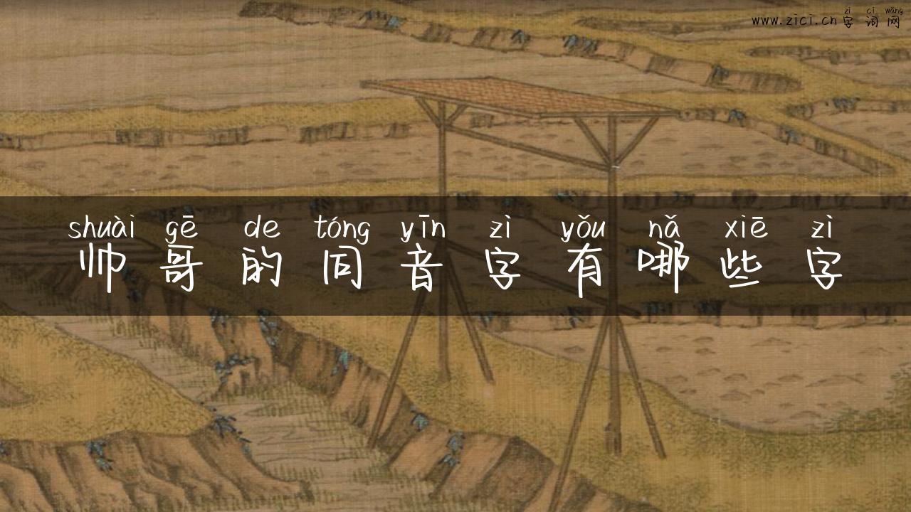 帅哥的同音字有哪些字
