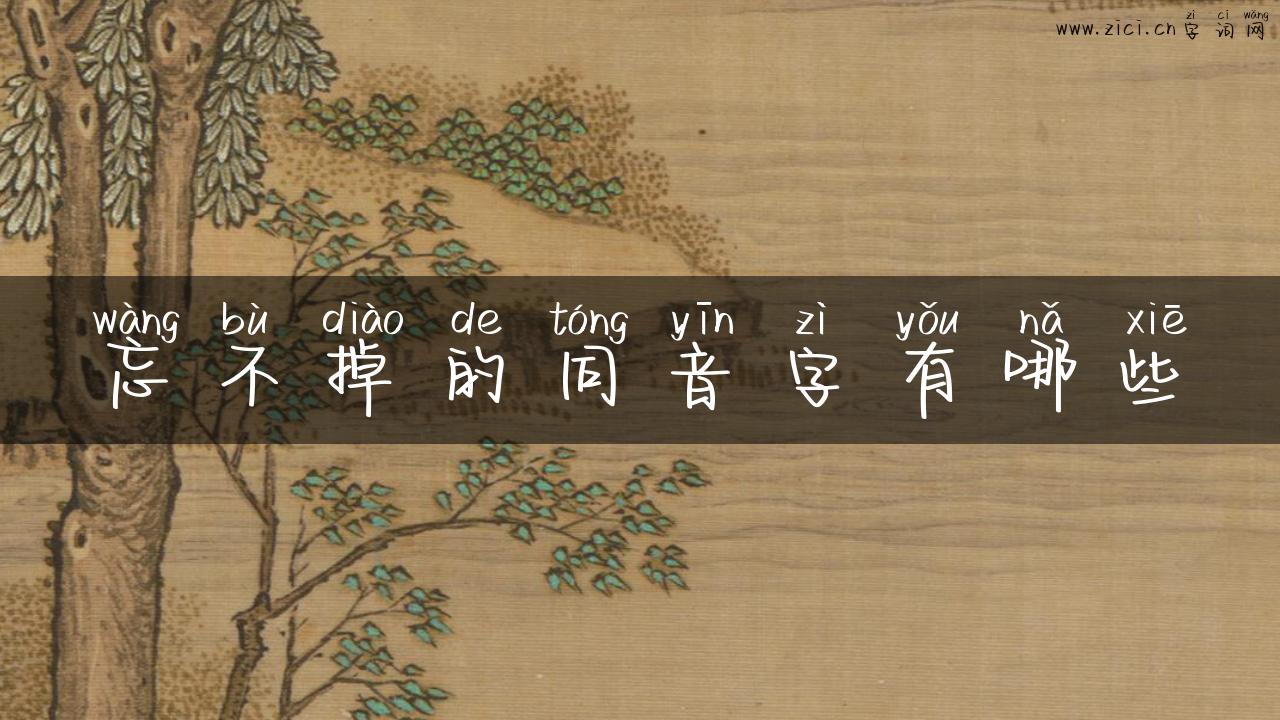 忘不掉的同音字有哪些