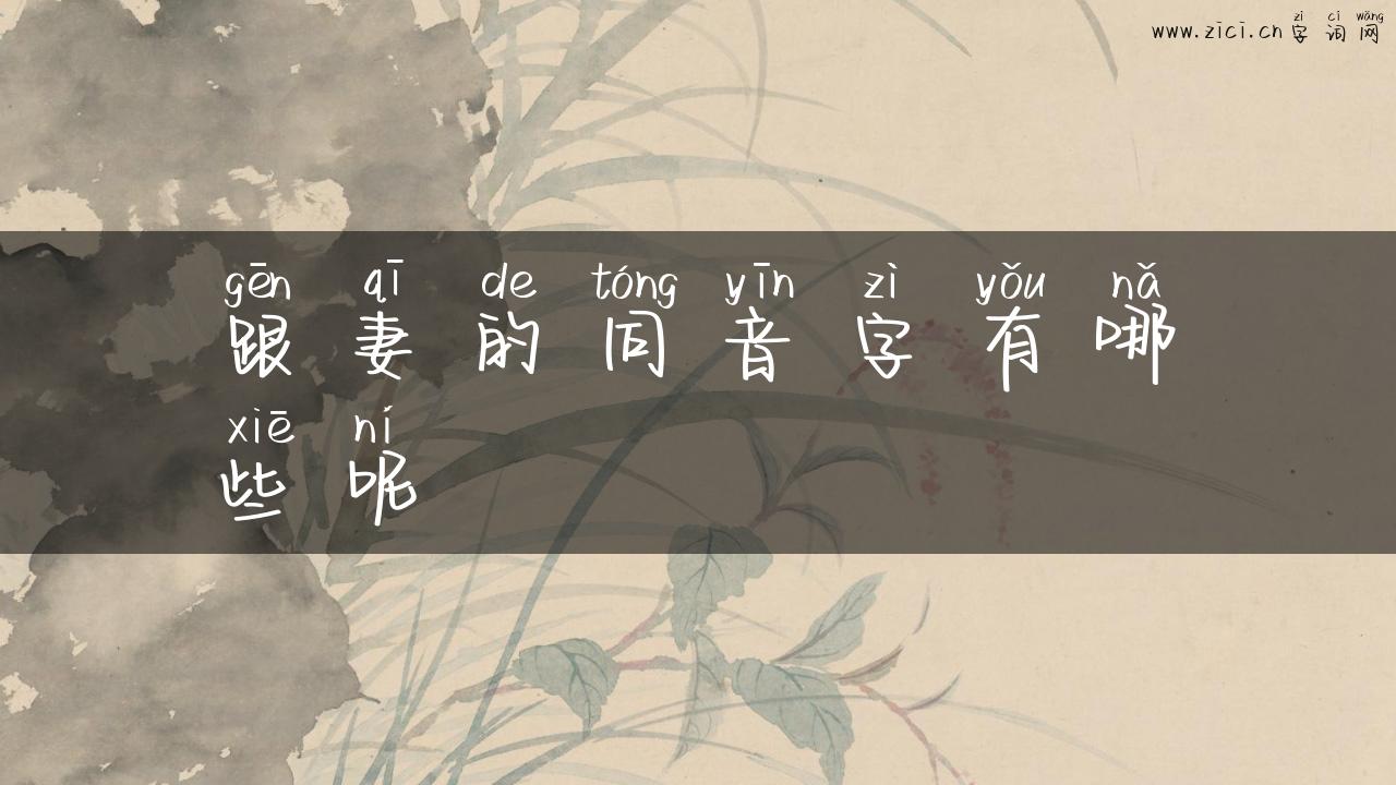 跟妻的同音字有哪些呢