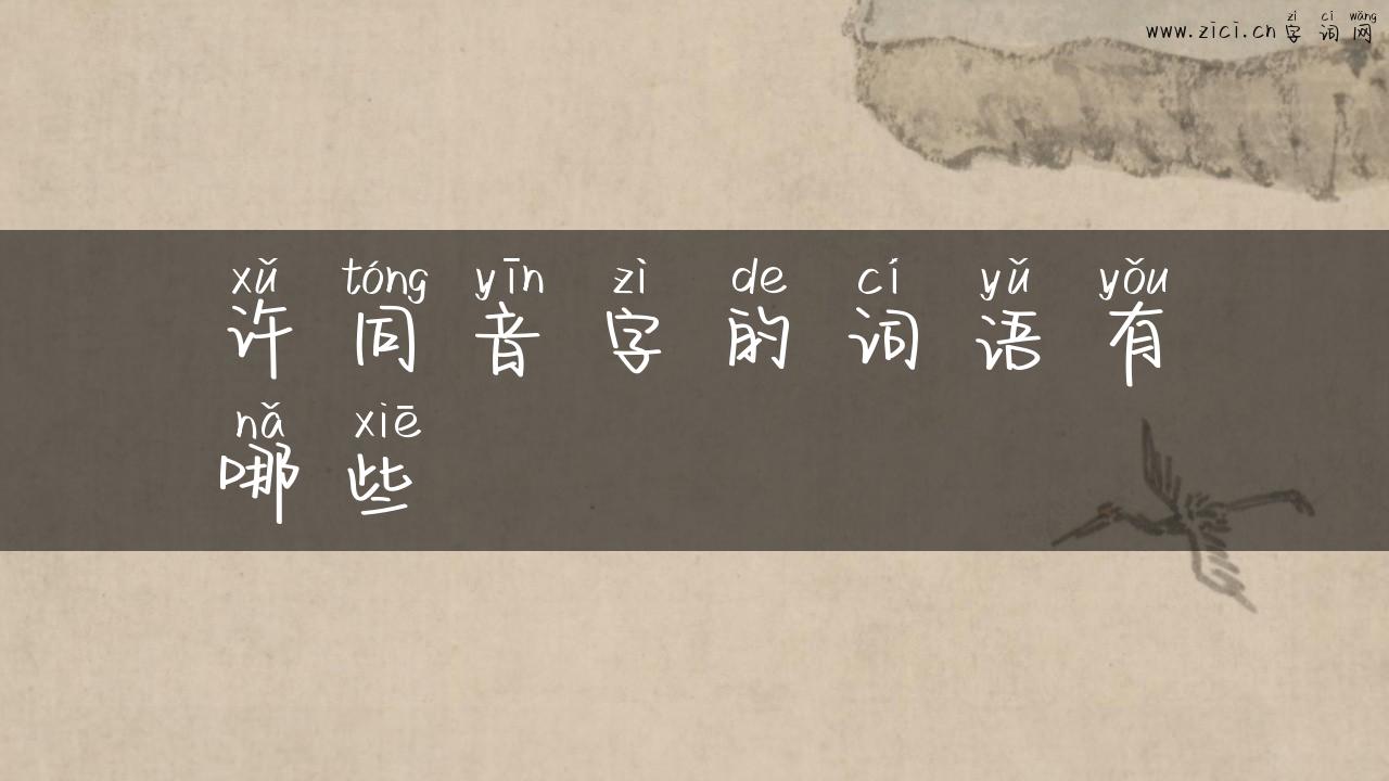 许同音字的词语有哪些