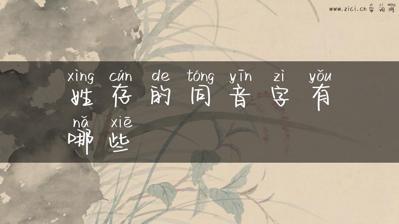 姓存的同音字有哪些
