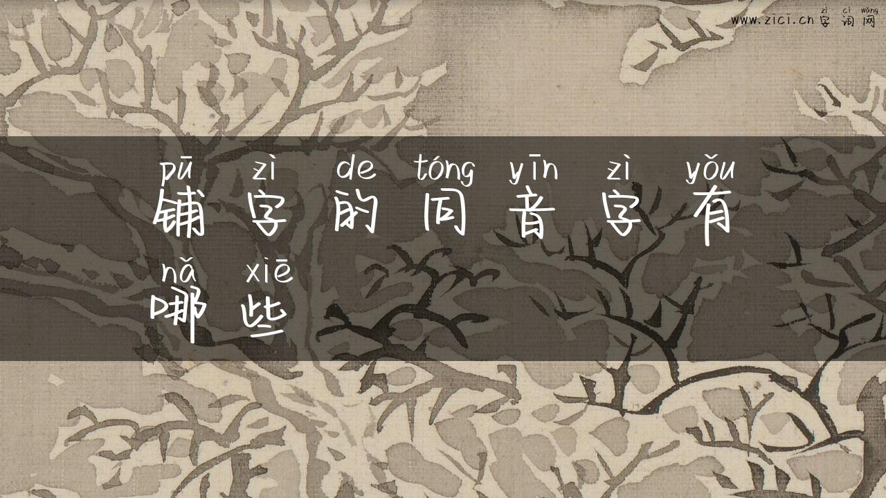 铺字的同音字有哪些