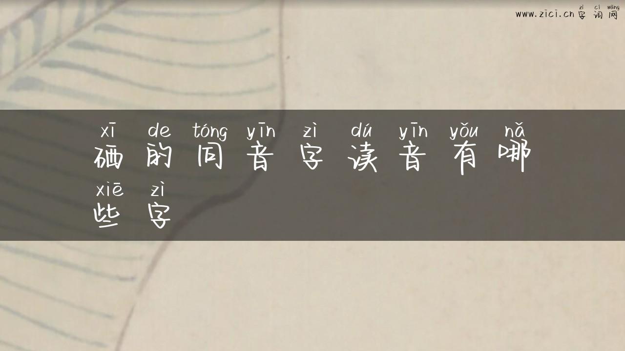 硒的同音字读音有哪些字