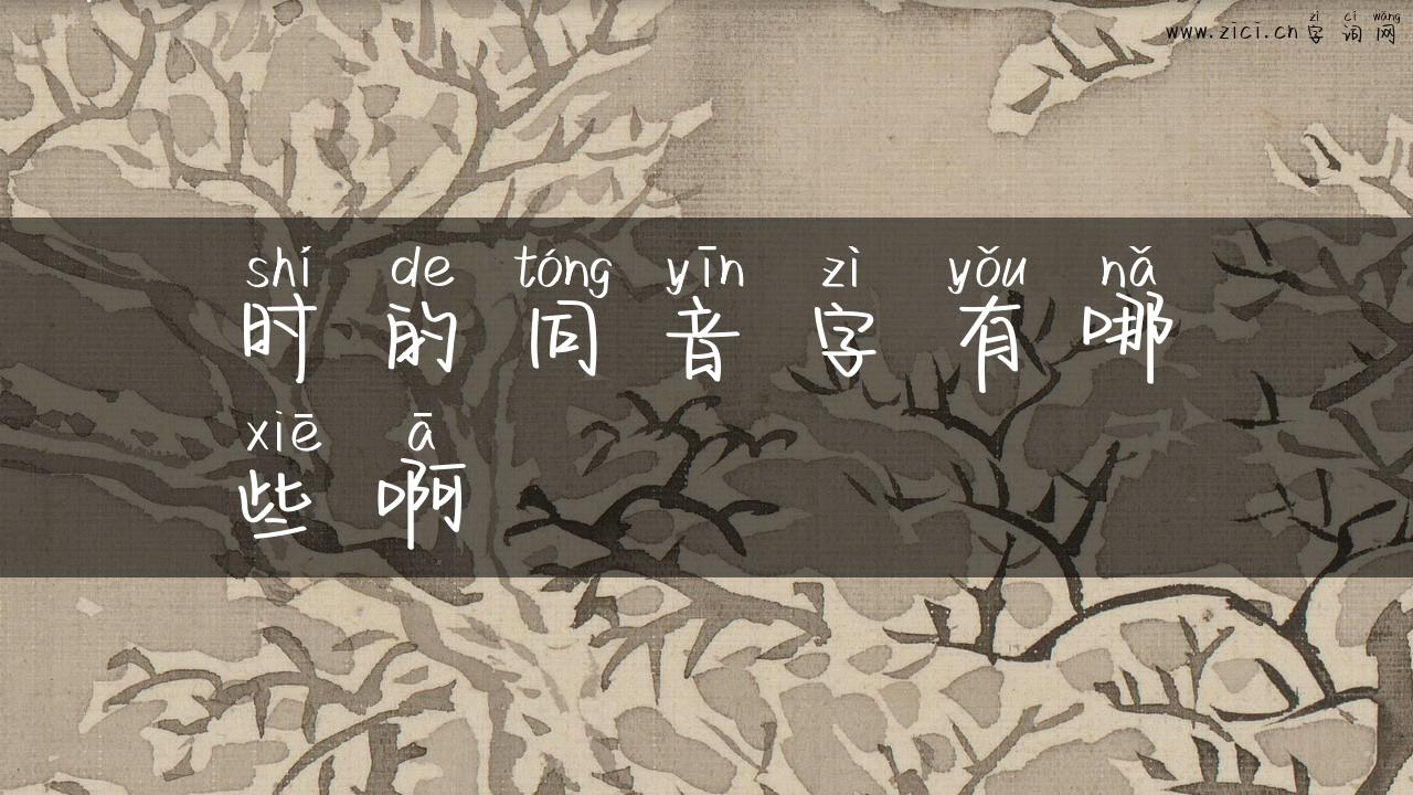 时的同音字有哪些啊