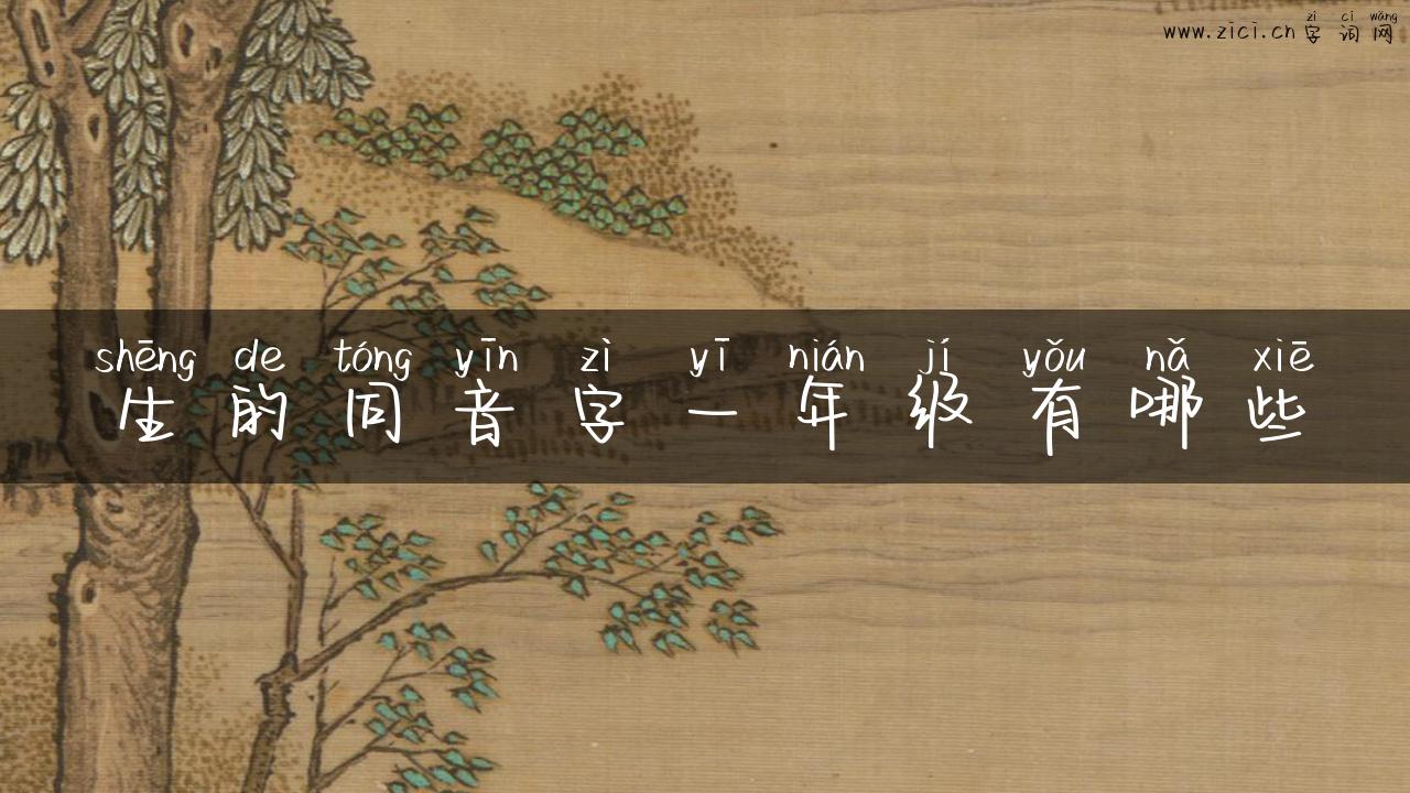 生的同音字一年级有哪些