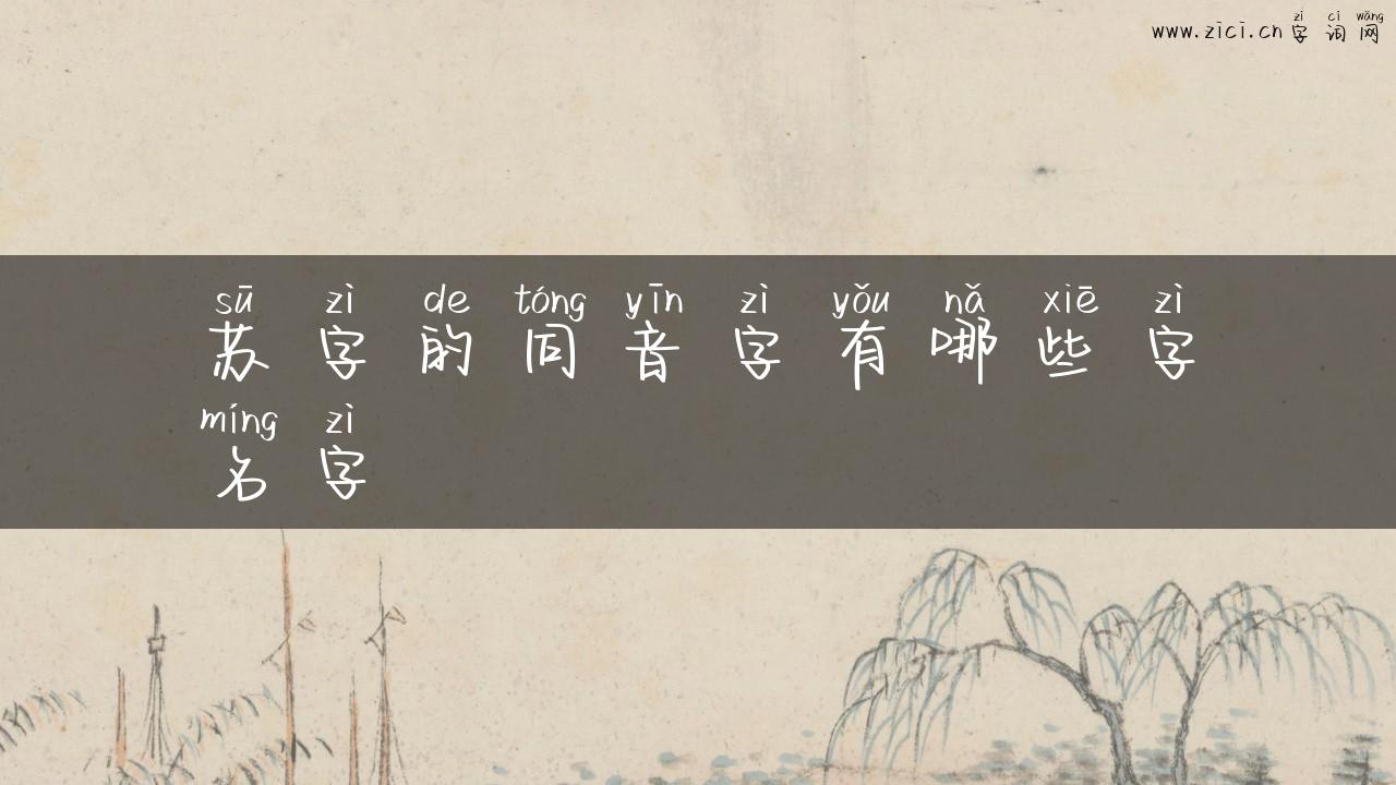 苏字的同音字有哪些字名字