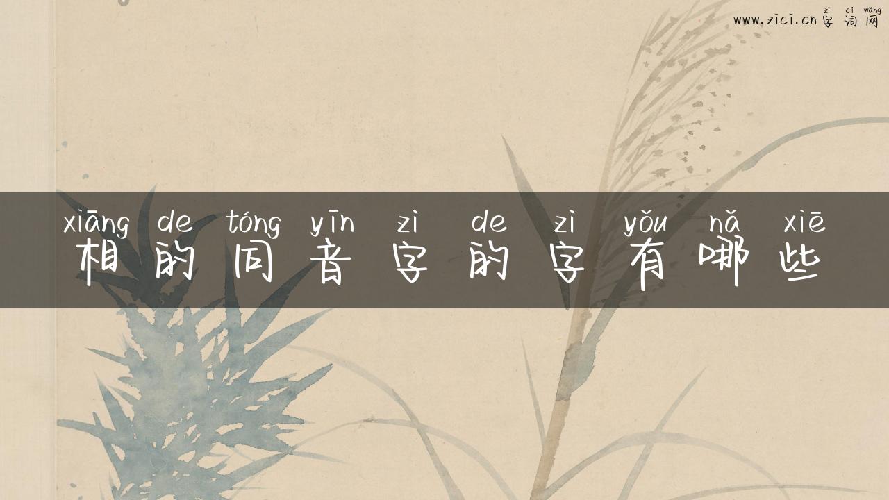 相的同音字的字有哪些