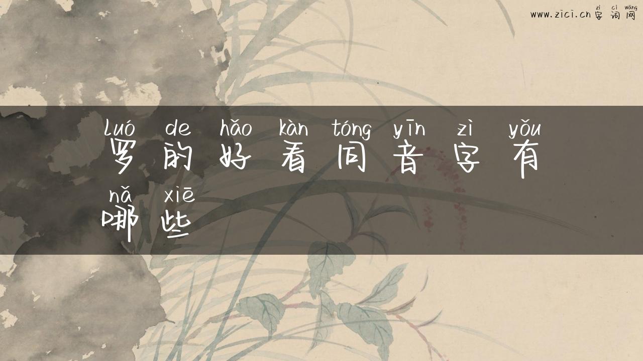 罗的好看同音字有哪些