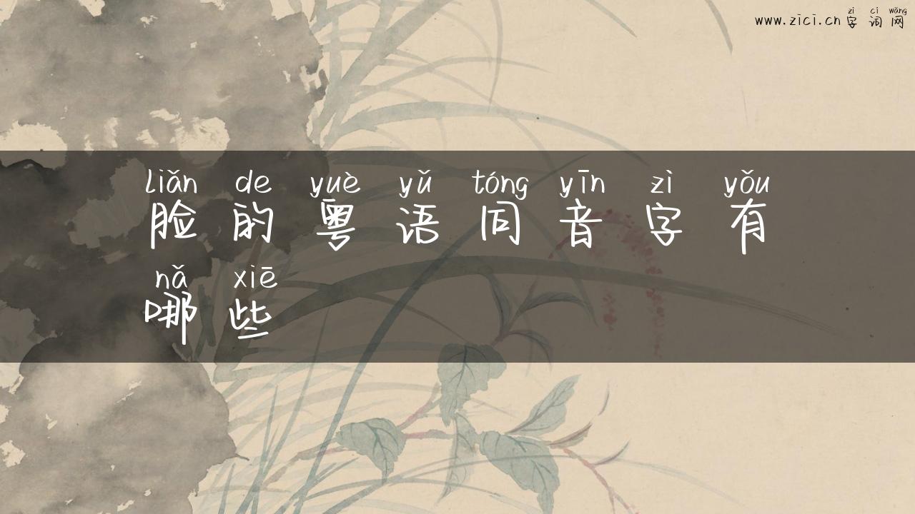 脸的粤语同音字有哪些