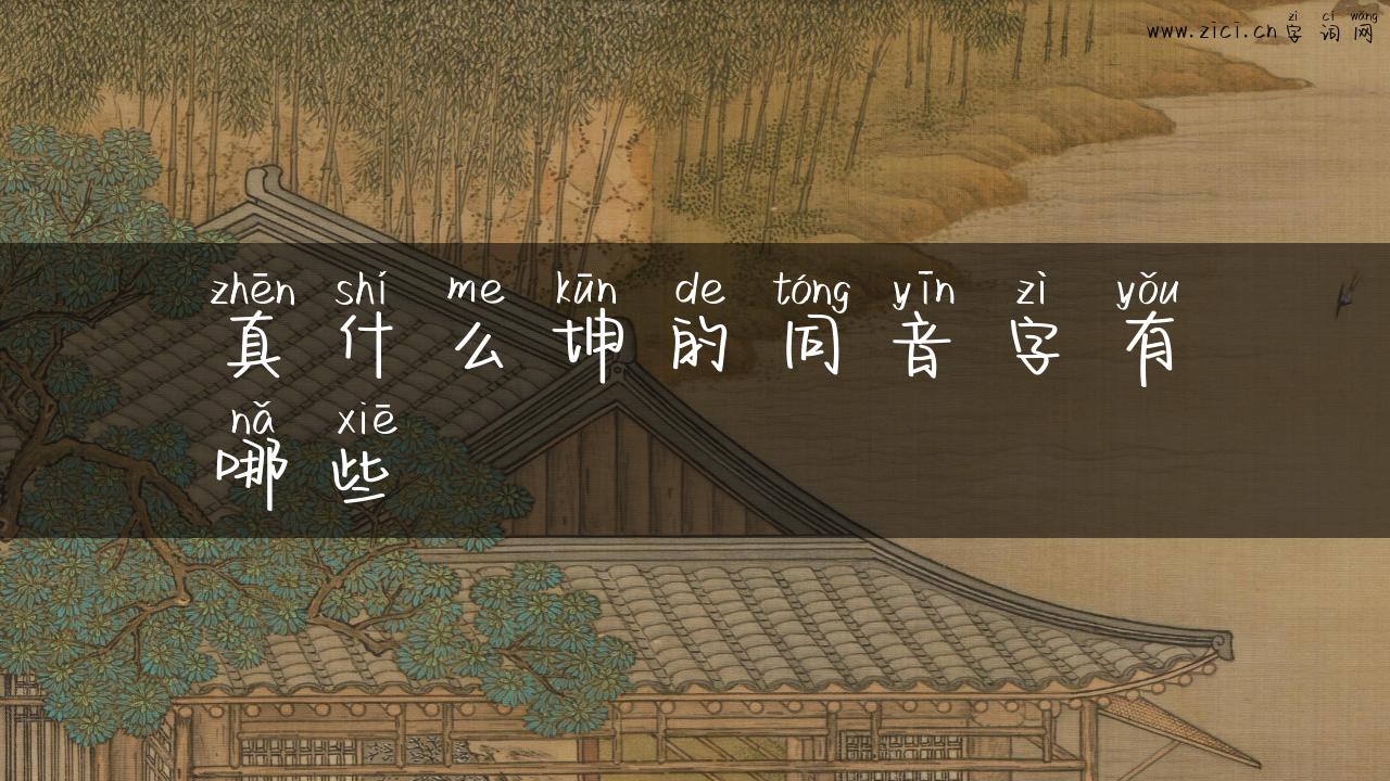 真什么坤的同音字有哪些