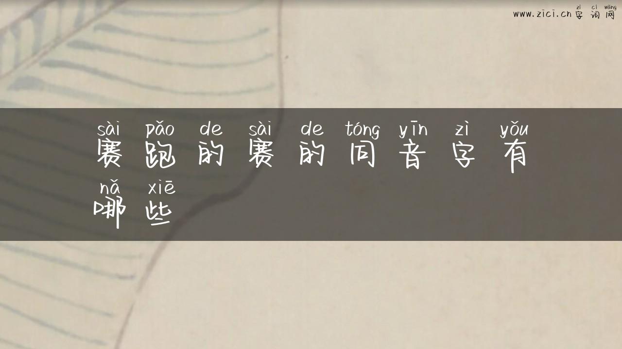 赛跑的赛的同音字有哪些