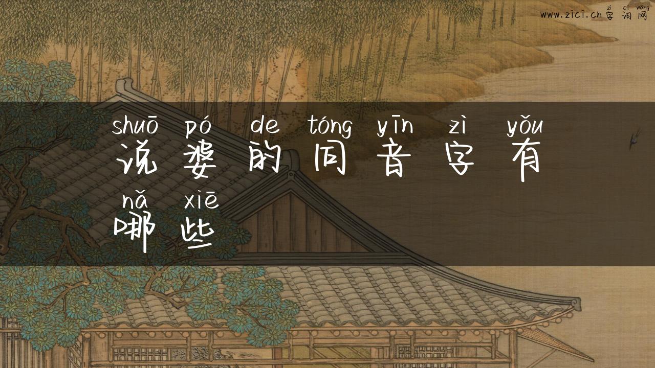 说婆的同音字有哪些