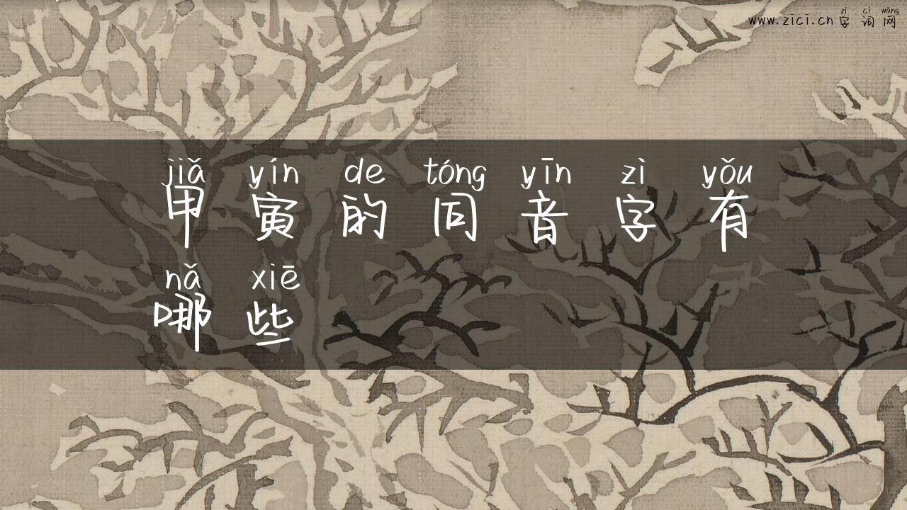 甲寅的同音字有哪些