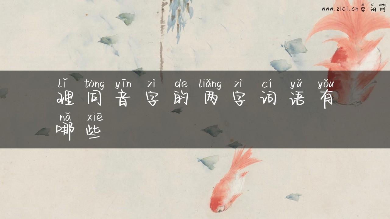 理同音字的两字词语有哪些