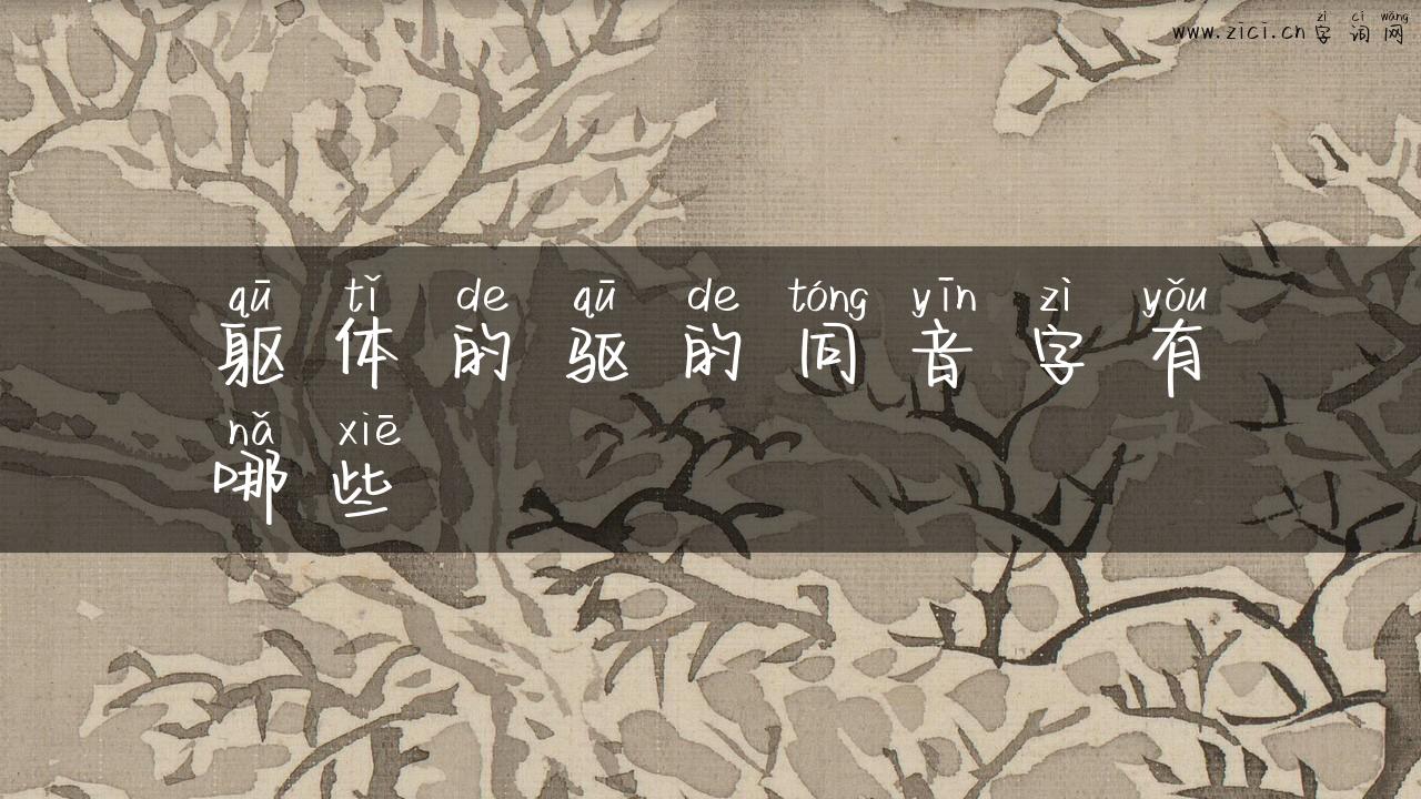 躯体的驱的同音字有哪些