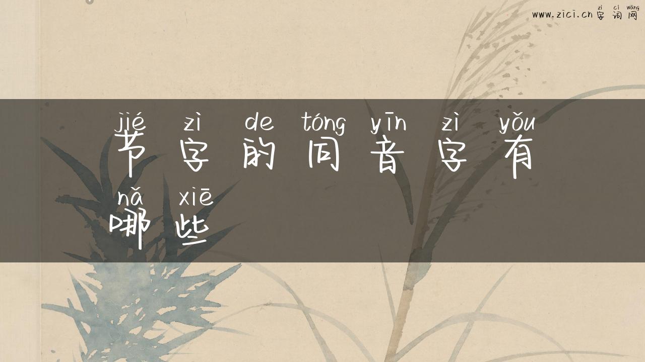节字的同音字有哪些