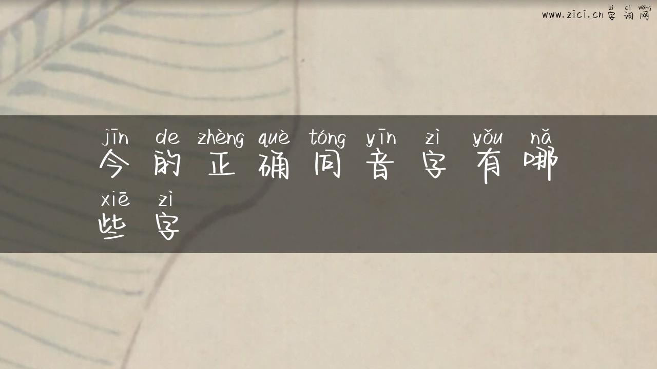 今的正确同音字有哪些字