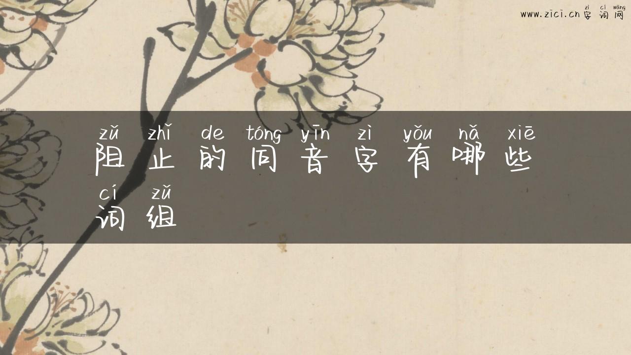 阻止的同音字有哪些词组