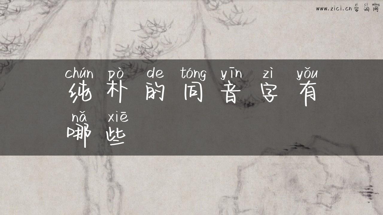 纯朴的同音字有哪些
