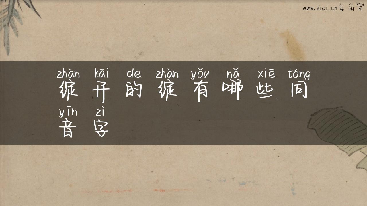 绽开的绽有哪些同音字