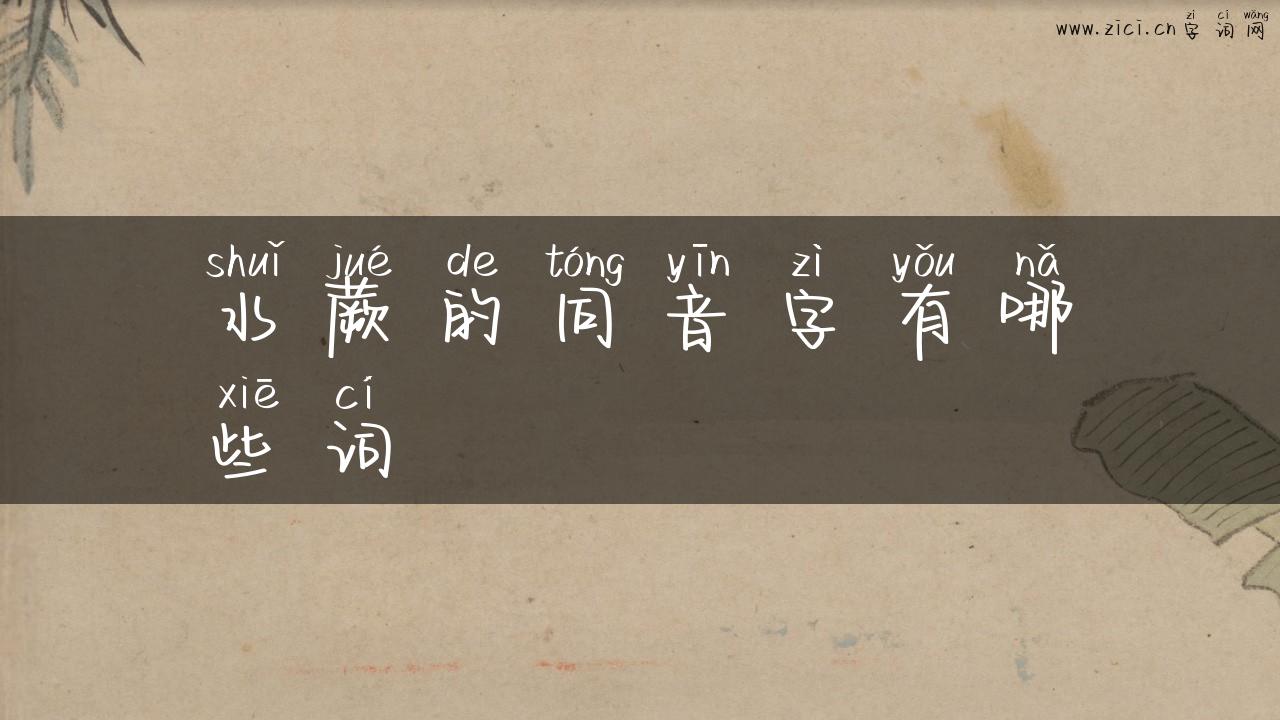 水蕨的同音字有哪些词