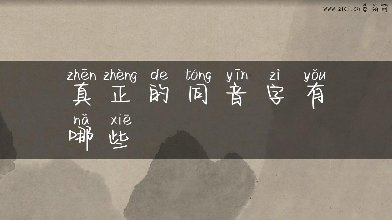 真正的同音字有哪些
