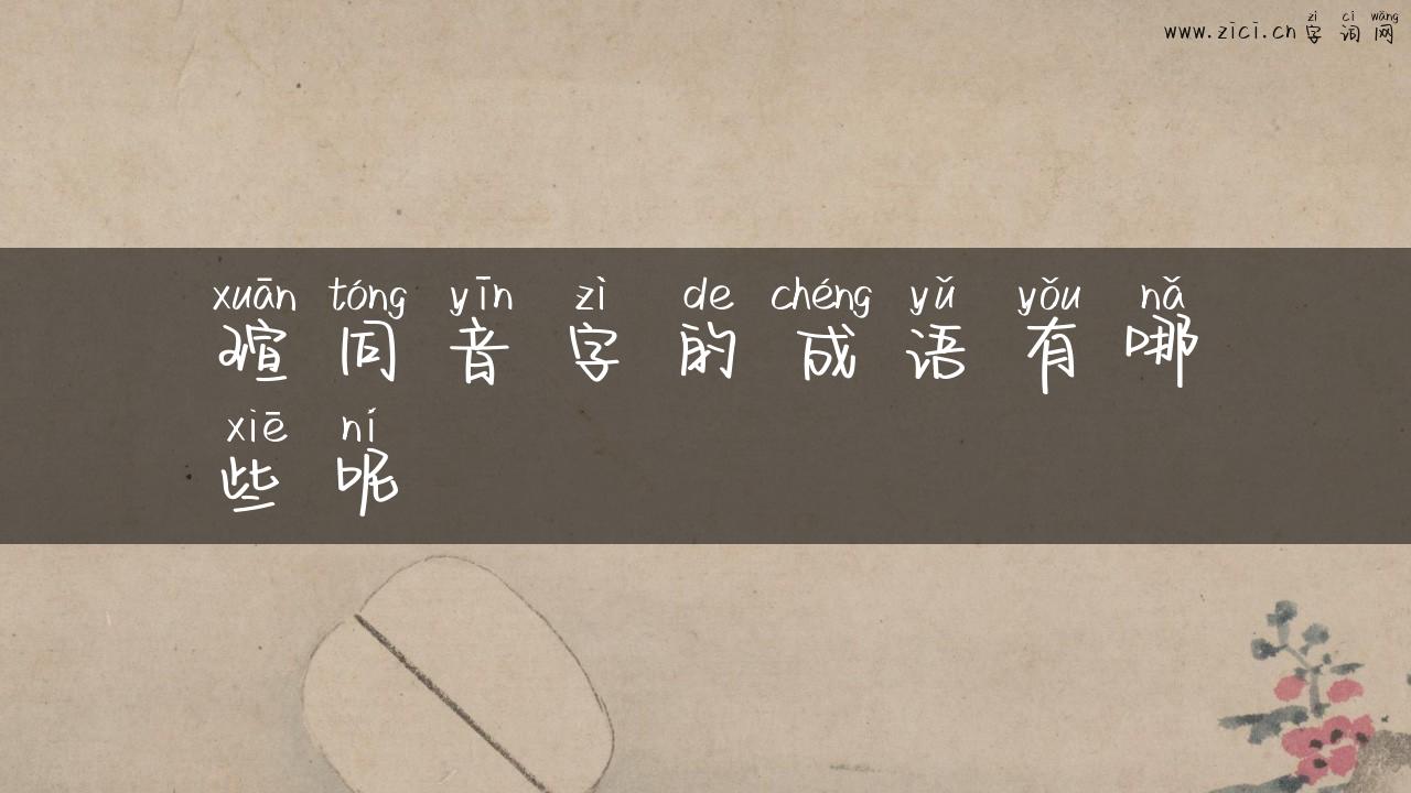 瑄同音字的成语有哪些呢