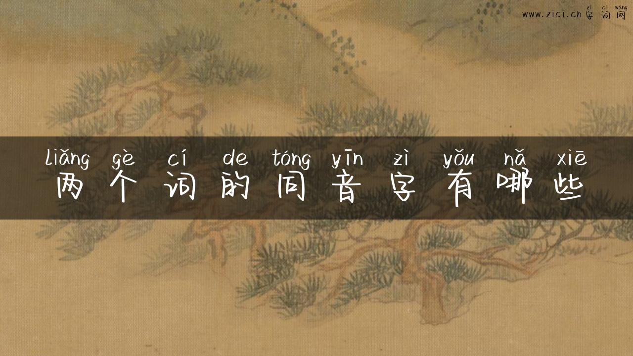 两个词的同音字有哪些