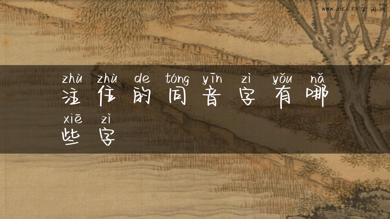 注住的同音字有哪些字