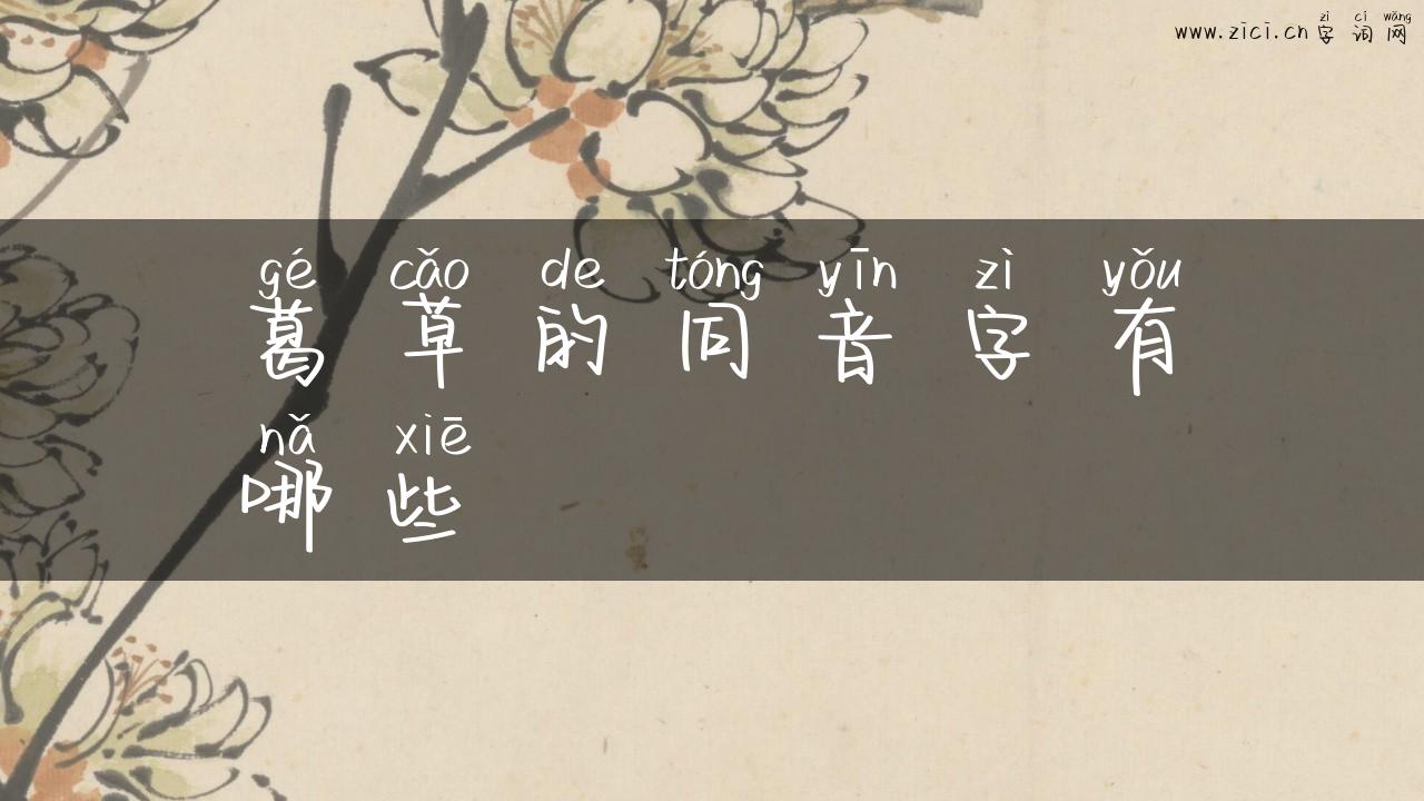 葛草的同音字有哪些