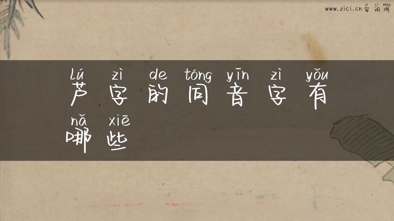 芦字的同音字有哪些