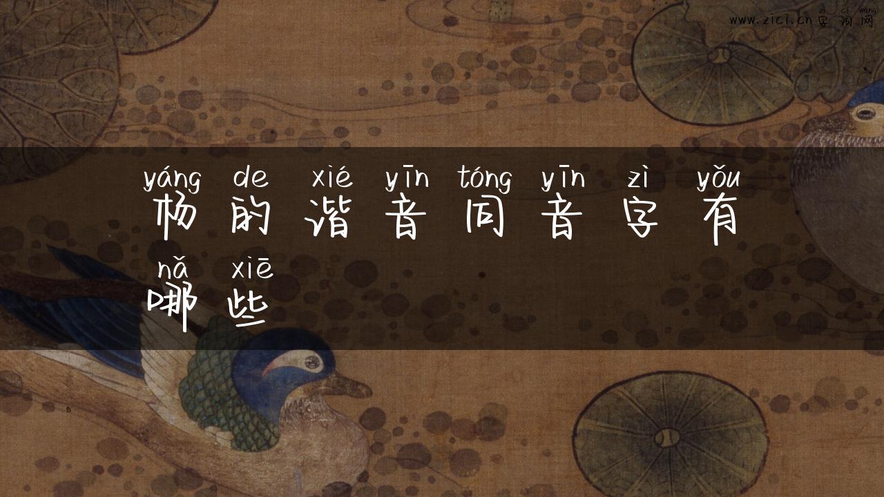 杨的谐音同音字有哪些