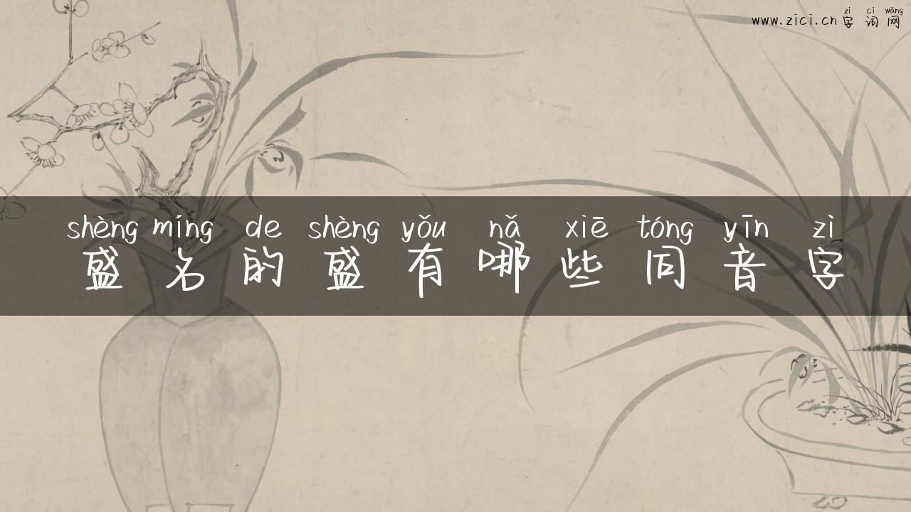 盛名的盛有哪些同音字